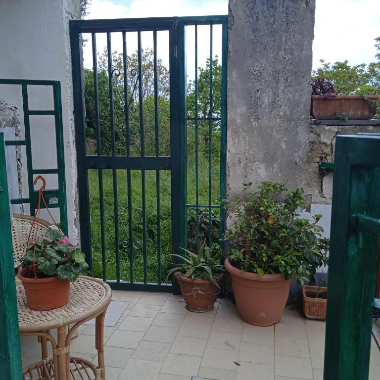 Casetta capodimonte - Appartamento con 1 Camera da Letto - 15