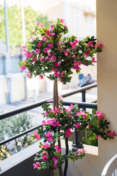 Studio NEUF - PORTES DE MONACO - Confort - Wifi - Clim - Appartement 1 Chambre - 18