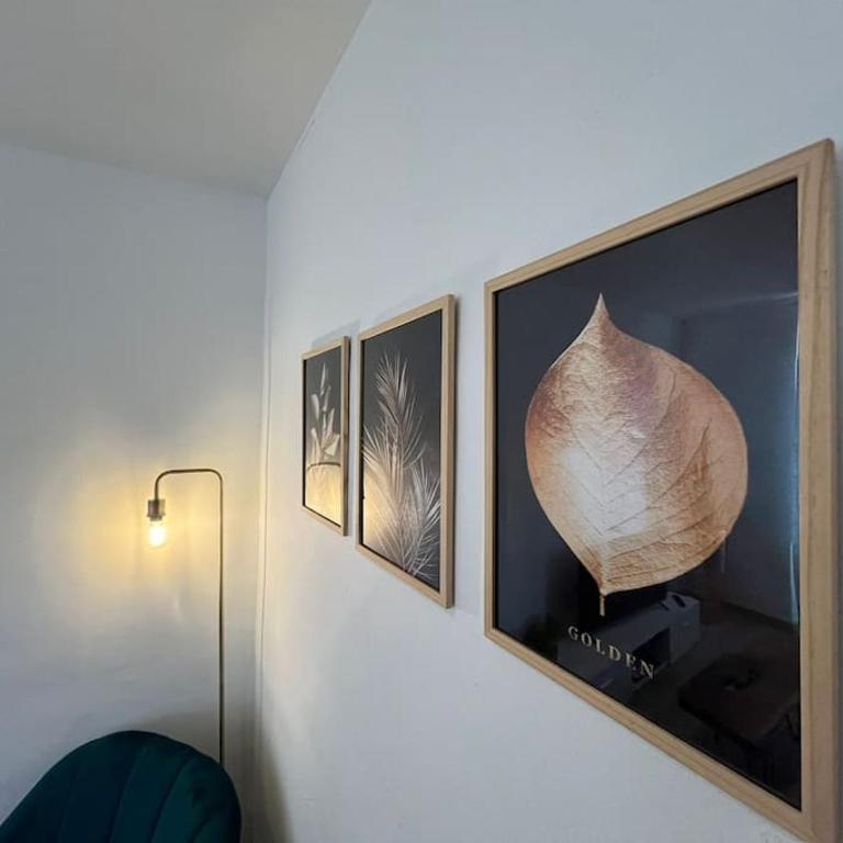 Appartement proche du village et de la mer - Appartement 1 Chambre - 5
