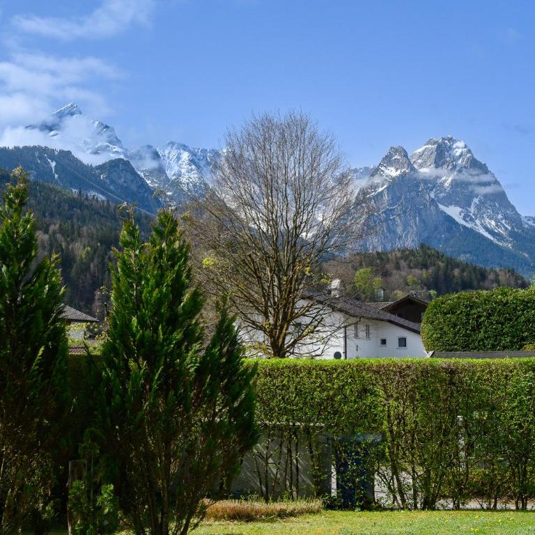 Sonnenstrahl - Apartamento de 1 dormitorio - 21