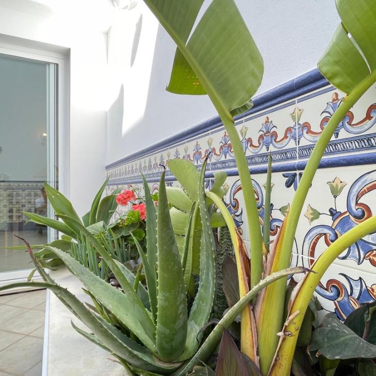 Casa Azahar luxury ground floor apartment - One-Bedroom Apartment - 16