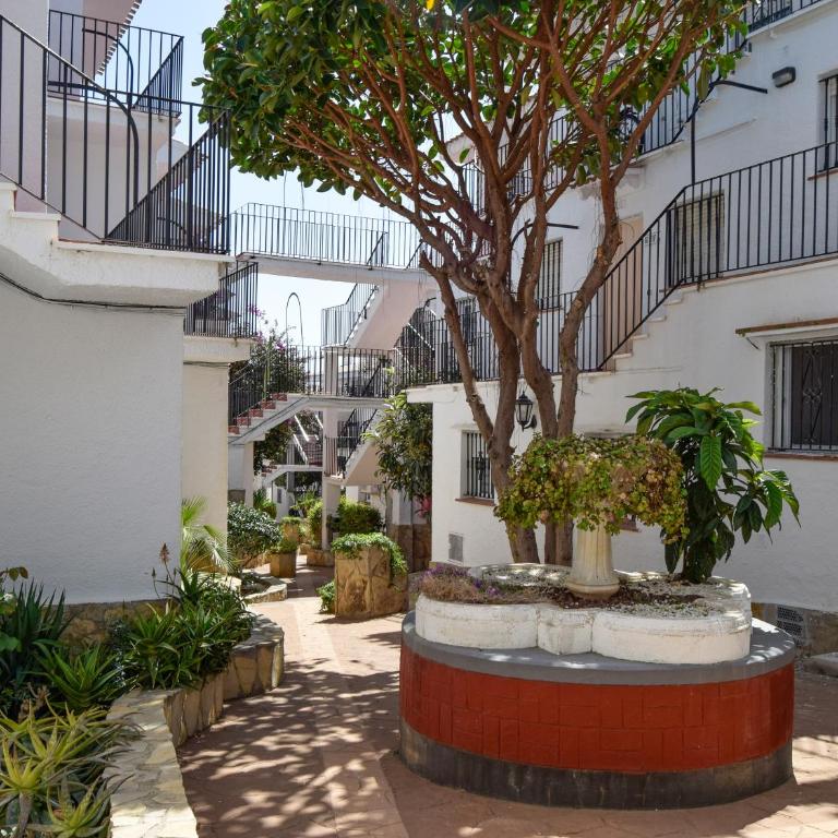 Apartamentos Tierra de Irta 3000 - Apartamento de 1 dormitorio (2 - 4 adultos) - 26