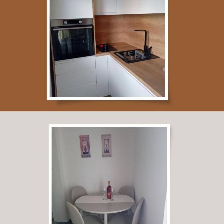 Šumska Vila - Apartman sa 1 Spavaćom Sobom - 21