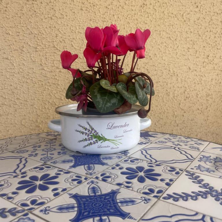 Cozy one bedroom, big balcony, pool area - Yamasol - Apartamento de 1 dormitorio - 3