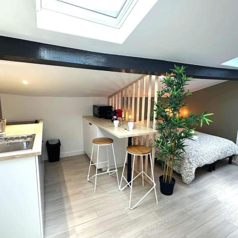 "Le Bamboo"Studio Charpennes Climatisé Prox Gare Métro Tram - One-Bedroom Apartment - 18