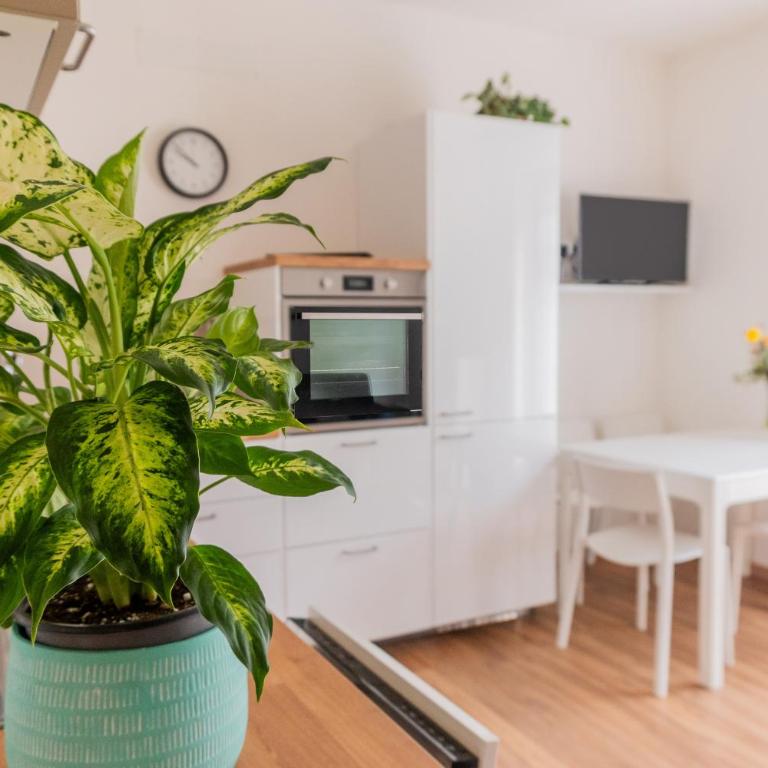 CASA SOLE - Appartamento con 1 Camera da Letto - 6
