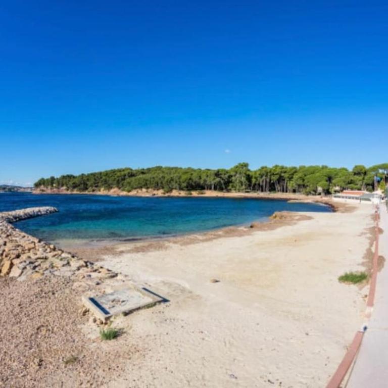 Grand studio au bord de mer - Apartment mit 2 Schlafzimmern - 1