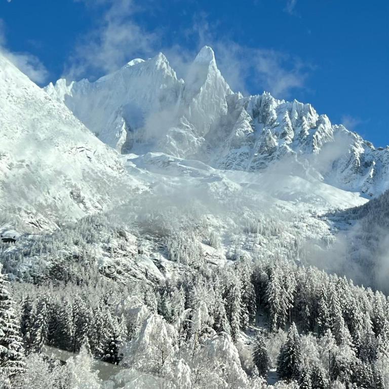 Chalet 8 Etoiles - Chalet Superior - 49