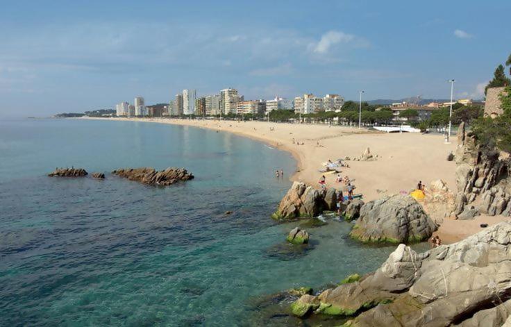 Apartamento Coquette a 50 metros de la playa - Apartamento - Planta baja - 27