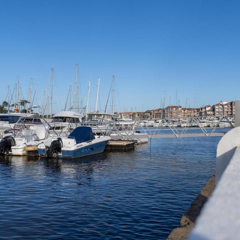 Atlantic Selection - Le Catamaran - Face au port - Appartement 1 Chambre - 36