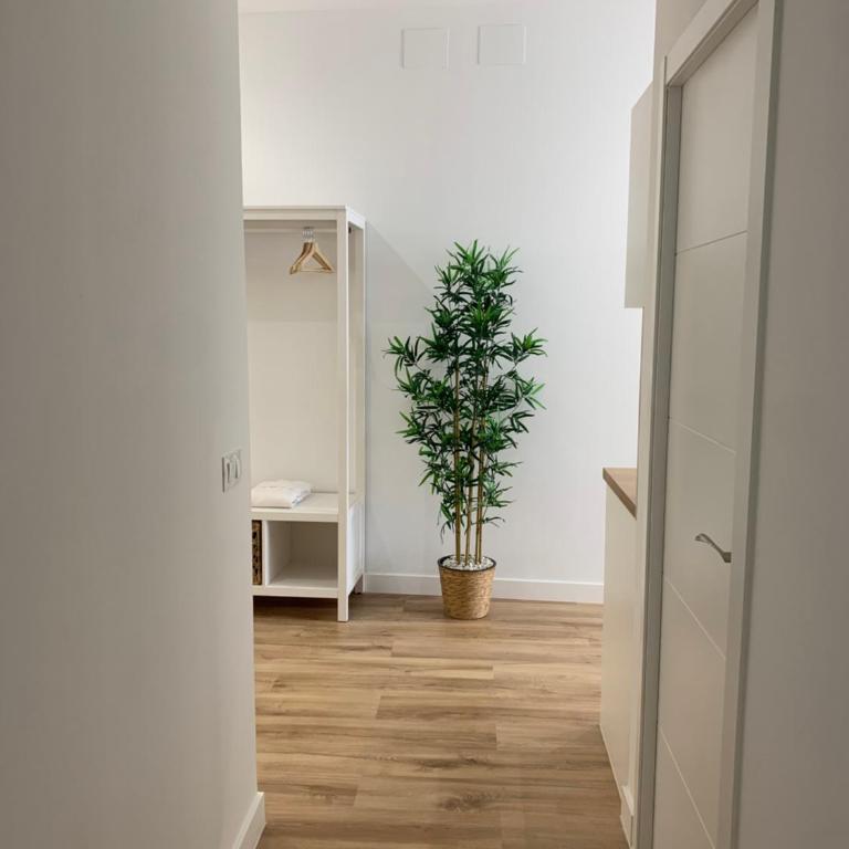 Aljara Suites - Apartamento de 1 dormitorio - 4