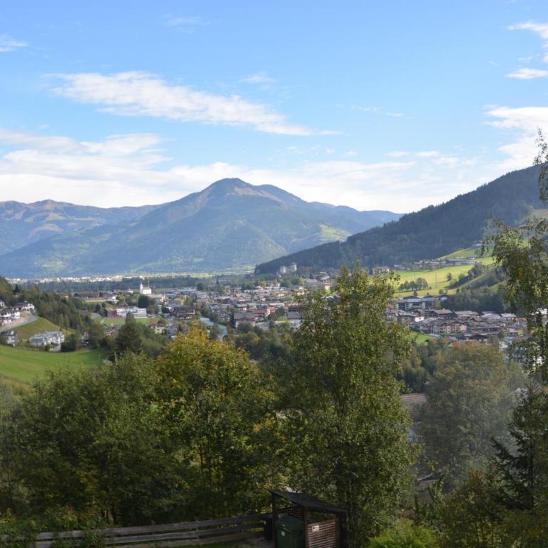 Apartment SHEPS in Kaprun - Apartment mit Balkon - 26