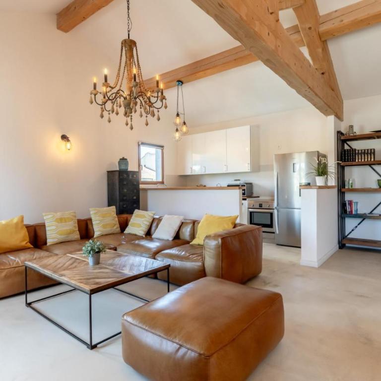 Olive- Vaste appartement donnant sur la Sorgue - Apartment - 2