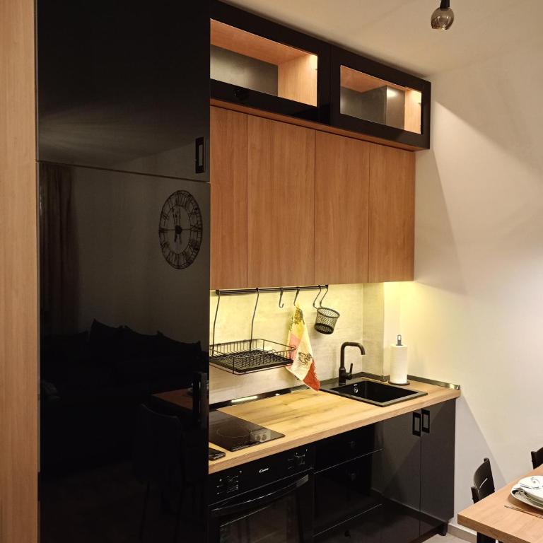 Ana Spa Zlatibor - Apartman sa 1 Spavaćom Sobom - 2