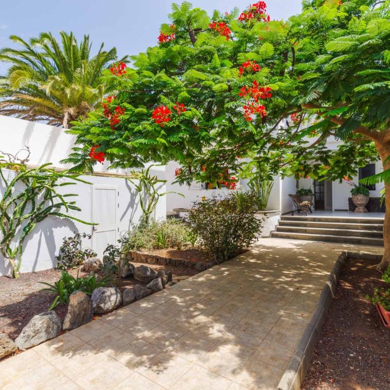 Villa Cervera - Four-Bedroom Villa - 12