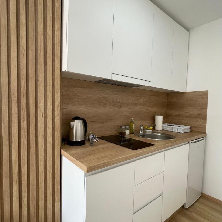 Apartmani Videnovic Sokobanja - Apartman sa 1 Spavaćom Sobom - 6