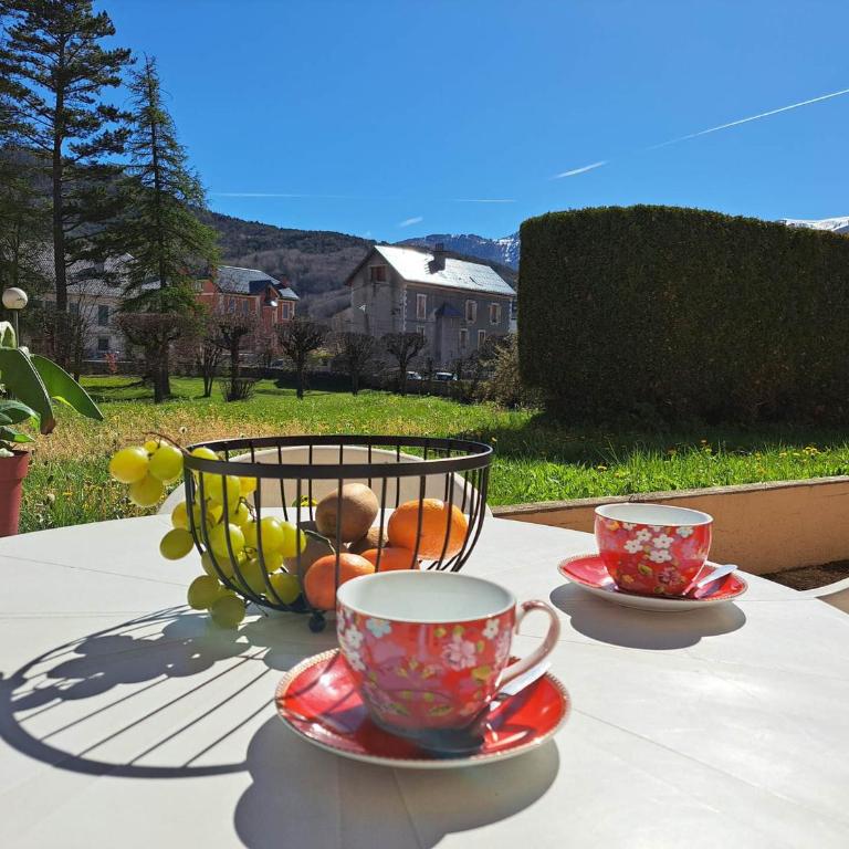 T2 centre de Barcelonnette avec garage fermé - Apartment mit 1 Schlafzimmer - 5