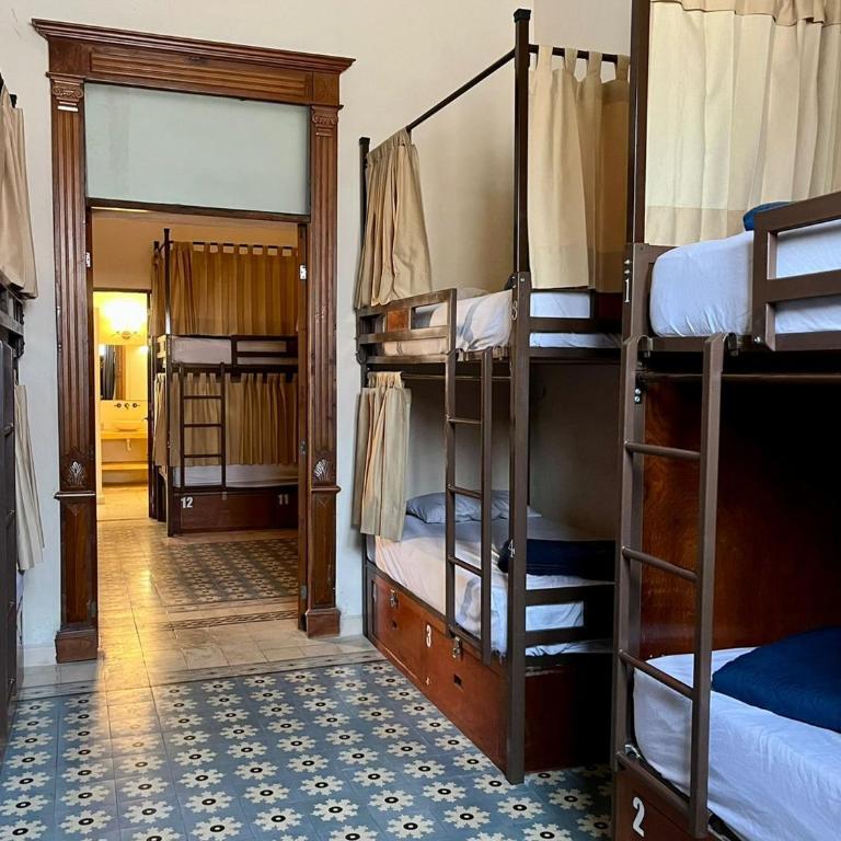 Hotel & Hostal Boutique Casa Garza - Bunk Bed in Mixed Dormitory Room - 1