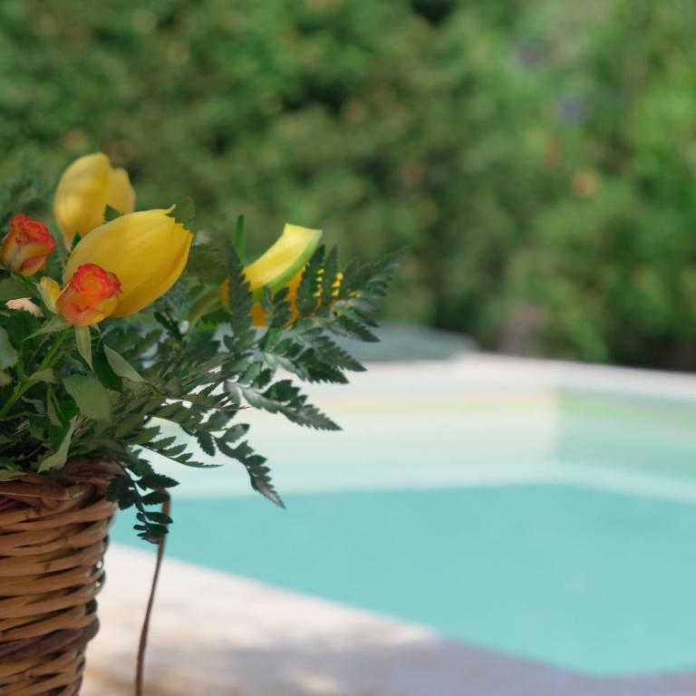 Villa of Wings (by Vacation Service) - Villa con Piscina Privata - 5