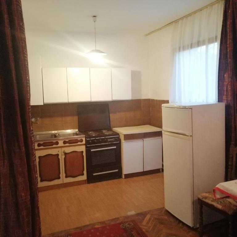 Stan u Vinči - Apartman s 1 Spavaćom Sobom i Balkonom - 10