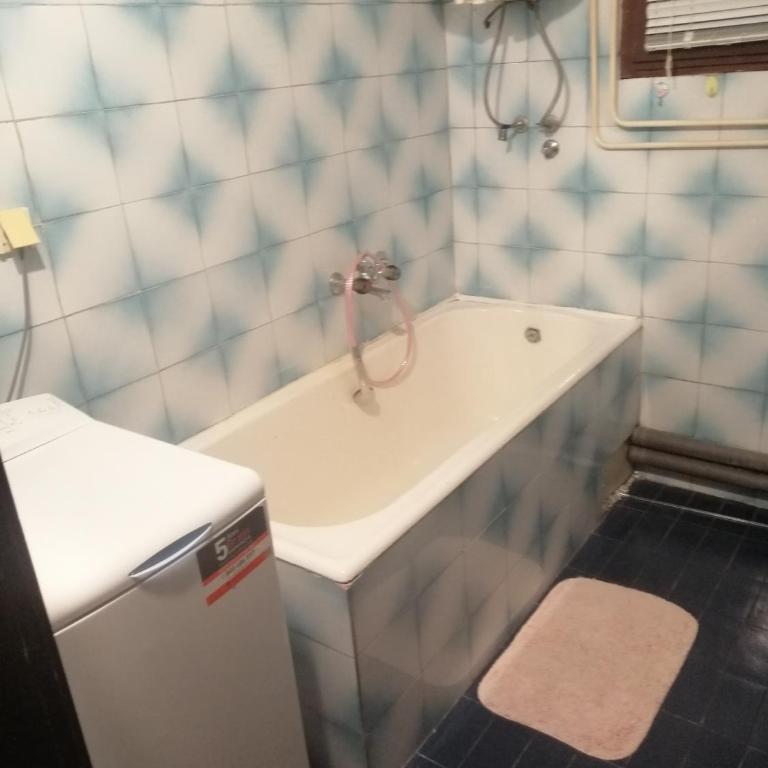 Stan u Vinči - Apartman s 1 Spavaćom Sobom i Balkonom - 14