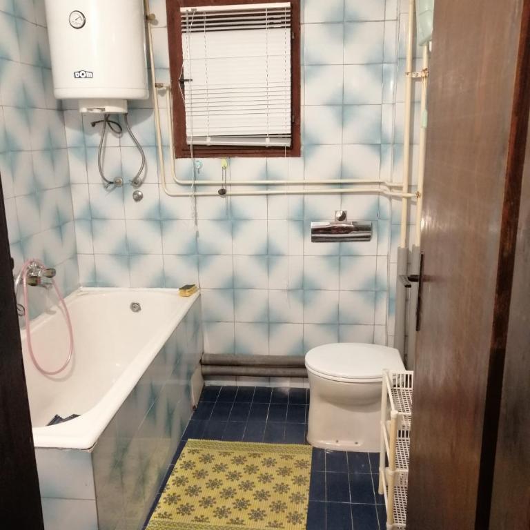 Stan u Vinči - Apartman s 1 Spavaćom Sobom i Balkonom - 15