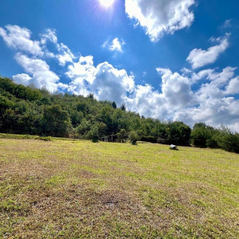 Villa el tramonto - Villa - 53