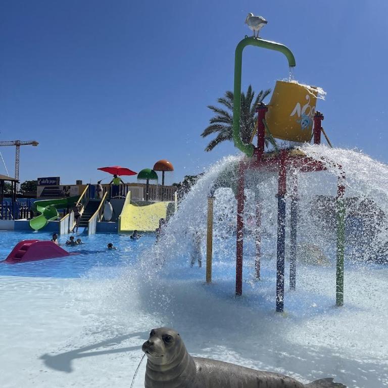 Apartamento ROSA del MAR Playas de Vera Ático en Primera Línea de Playa Piscina al Aire Libre Aparcamiento Gratuito WiFi Muy Rápido Acogedor con Calefacción - Appartement 2 Chambres - 72