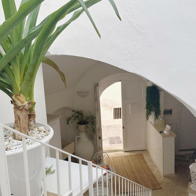 Palmieri Luxury Rooms - Ampia Camera Matrimoniale - 9