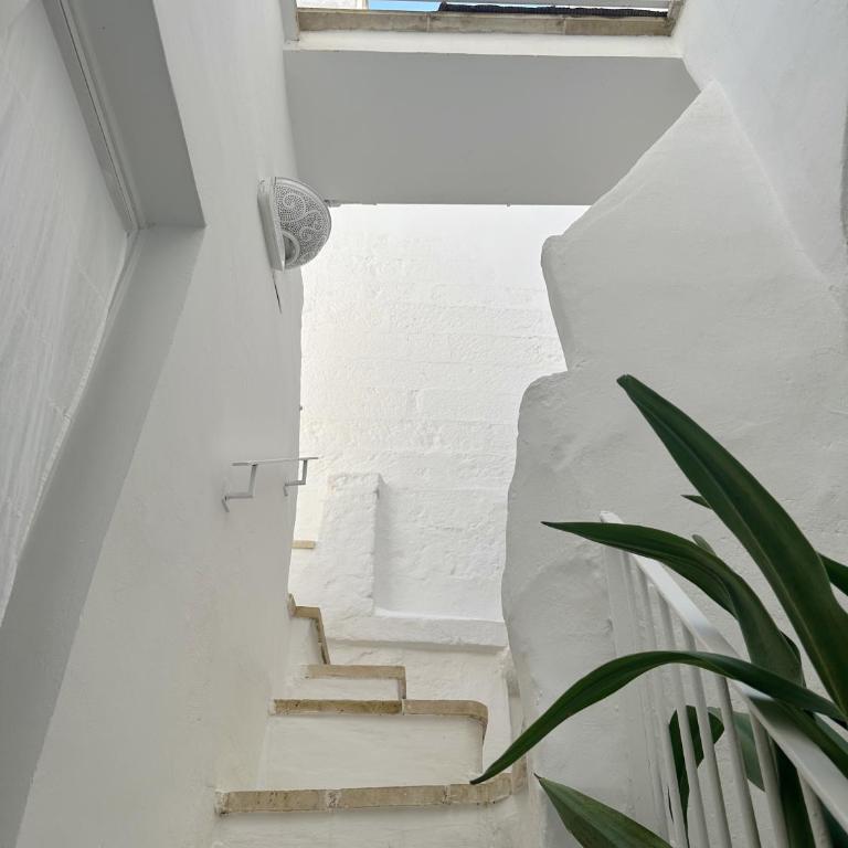 Palmieri Luxury Rooms - Camera Tripla - 8