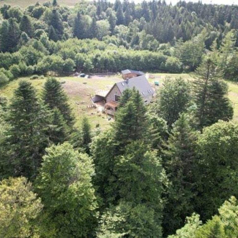 LE DOMAINE DE LA LOUVE BLANCHE - Apartamento de 2 dormitorios - 1