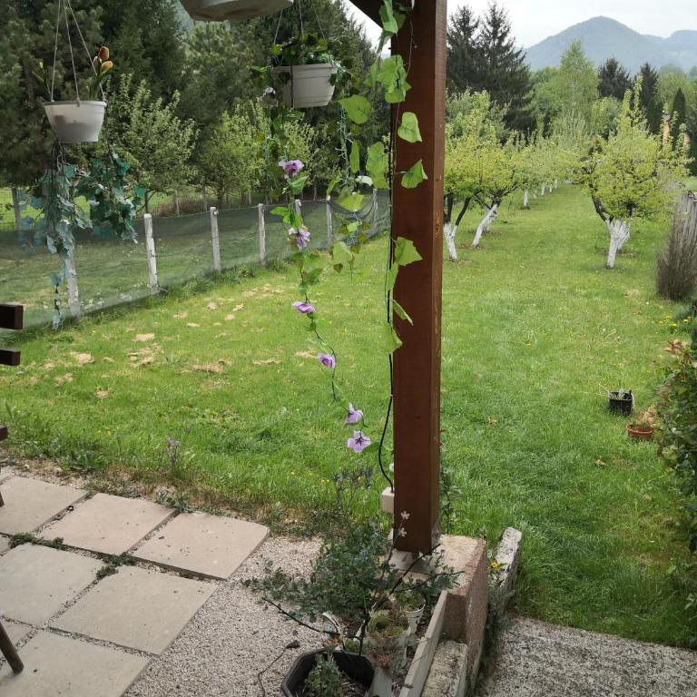 Holiday Home Dragon - Kuća sa 1 Spavaćom Sobom - 65