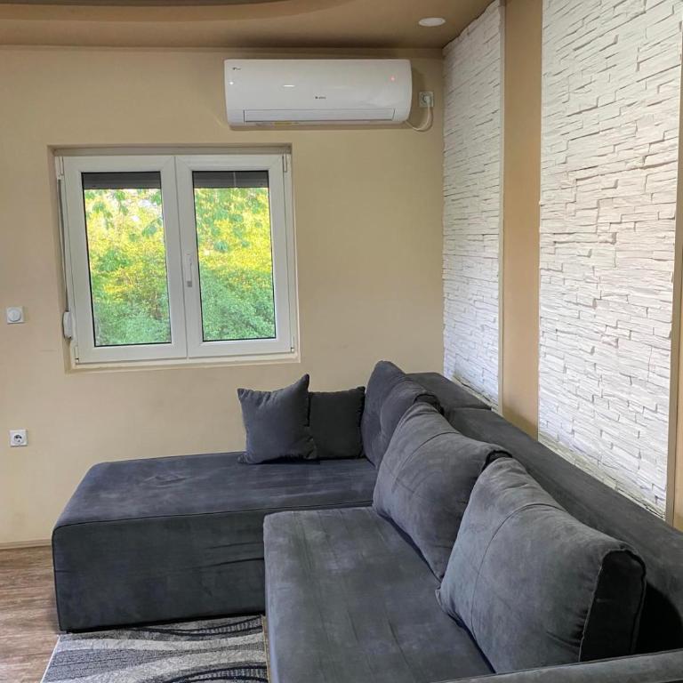 Vila Sanja - Apartman sa 1 Spavaćom Sobom - 4