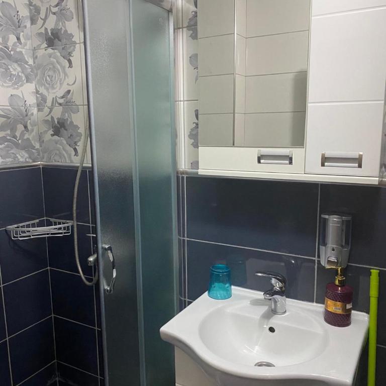 Vila Sanja - Apartman sa 1 Spavaćom Sobom - 18