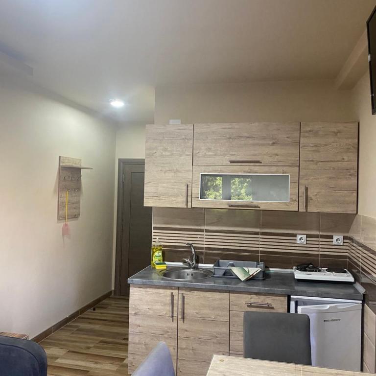 Vila Sanja - Apartman sa 1 Spavaćom Sobom - 23