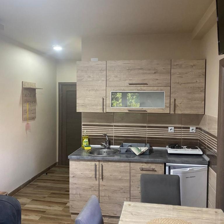Vila Sanja - Apartman sa 1 Spavaćom Sobom - 17