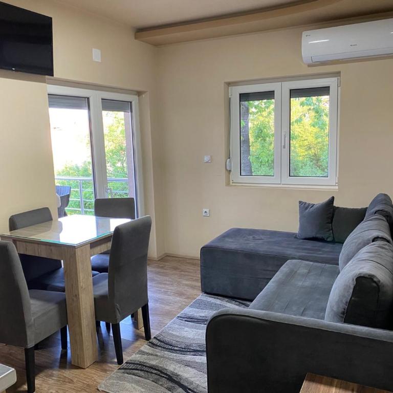 Vila Sanja - Apartman sa 1 Spavaćom Sobom - 11