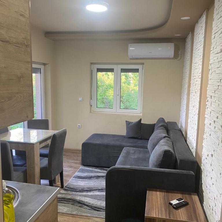 Vila Sanja - Apartman sa 1 Spavaćom Sobom - 20