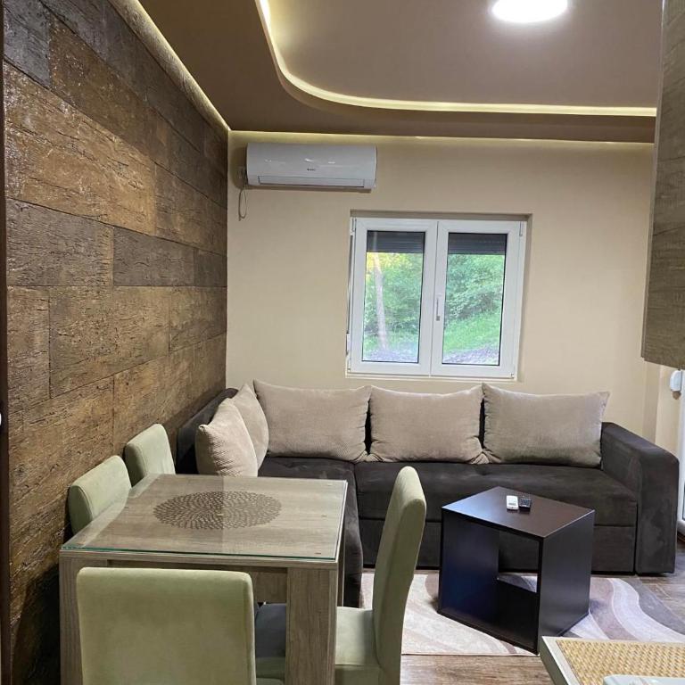 Vila Sanja - Apartman sa 1 Spavaćom Sobom - 7
