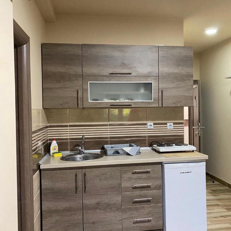 Vila Sanja - Apartman sa 1 Spavaćom Sobom - 12