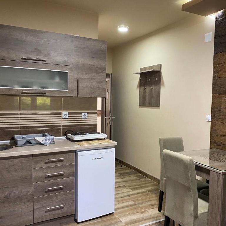 Vila Sanja - Apartman sa 1 Spavaćom Sobom - 10