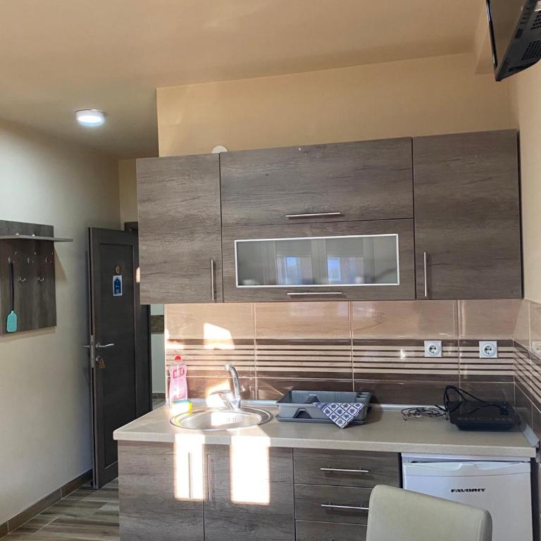 Vila Sanja - Apartman sa 1 Spavaćom Sobom - 11