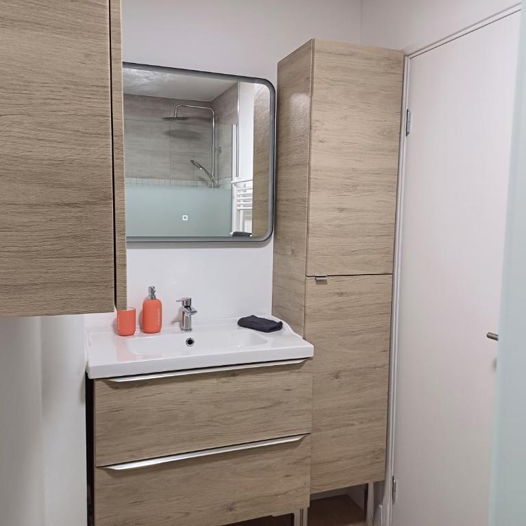 Pinceau, Élégant, spacieux, 2 couchages, proche centre - Appartamento con 1 Camera da Letto - 8