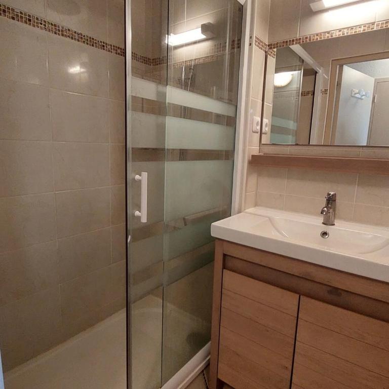 Spacieux 2 Pièces, Vue Pistes, Animaux Admis - FR-1-516-60 - Apartment (6 Erwachsene) - 10