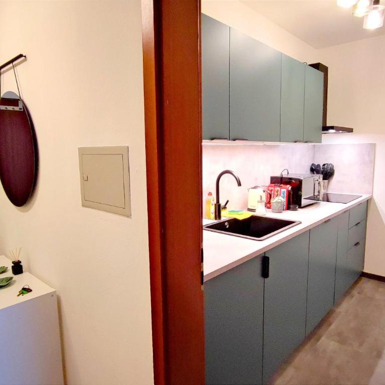 HOMELY STAY Serenity Greens - Stylisch Studio-Apartment with kitchen - 15 min from Central Station-pet friendly - Apartamento - 17