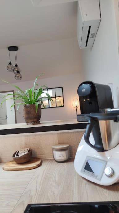 Sous les toits de Millau - Appartement cosy et chaleureux - Appartement 1 Chambre - 22