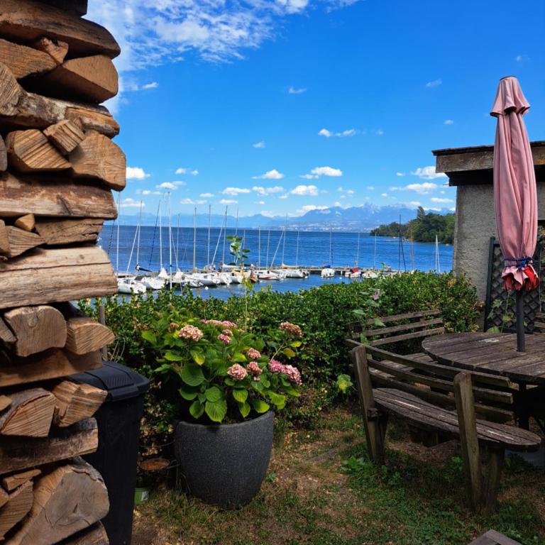 thollon-les-mémises - Studio - Vue sur Montagne - 12