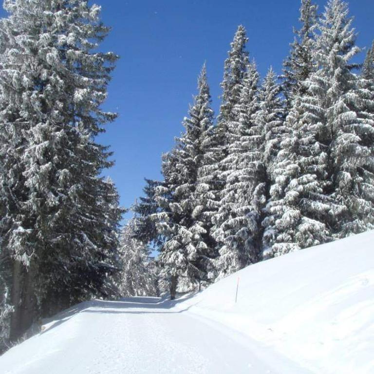 thollon-les-mémises - Studio - Vue sur Montagne - 18