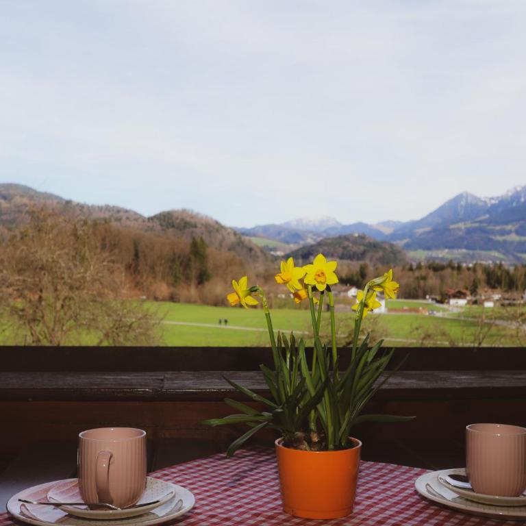 Ferienwohnungen „Zum Bauern“ - Apartment mit Blick auf die Berge - 8