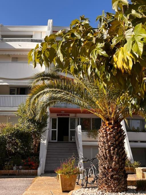 Piscine - Clim - Plage à 5mn à pieds - Estudio - 25